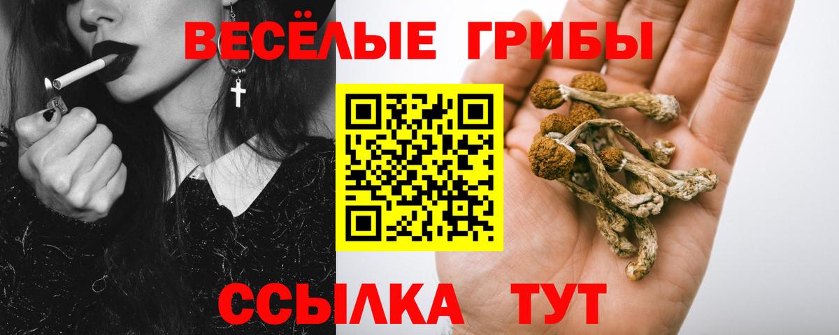 купить  цена  Псилоцибиновые грибы Psilocybine cubensis  Волжский  Вход с VPN  Галлюциногенные грибы прущие грибы 